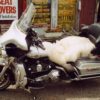 100% Sheepskin Motorcycle Seat Covers-Rear Touring Seat  15"X15"